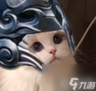  九游游戏中心王者荣耀猫咪刺客头像大全