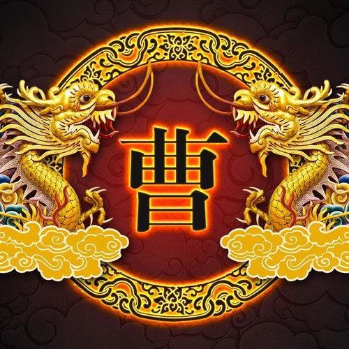  龙的传人中华姓氏中国风百家姓微信头像微信朋友圈壁纸屏保
