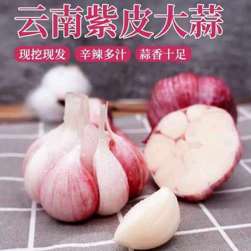  紫皮大蒜新鲜现挖大蒜头批发10斤5斤2斤红皮嫩蒜可腌糖蒜新鲜蔬菜