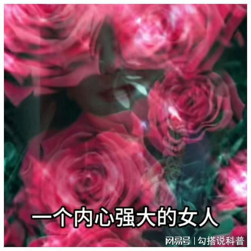 侯耀华徒弟谢雷,自曝杨议老婆很多内幕,孟真罕见发文回应了