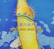  黄页88高清图片