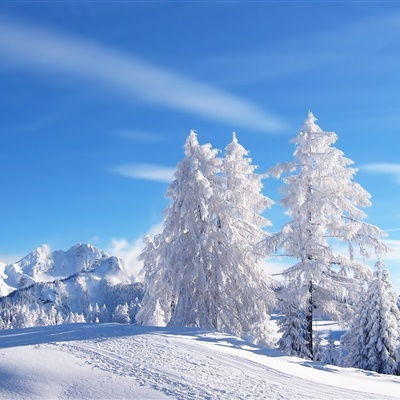  唯美雪景头像,美丽的冬季风光雪景太陶醉了