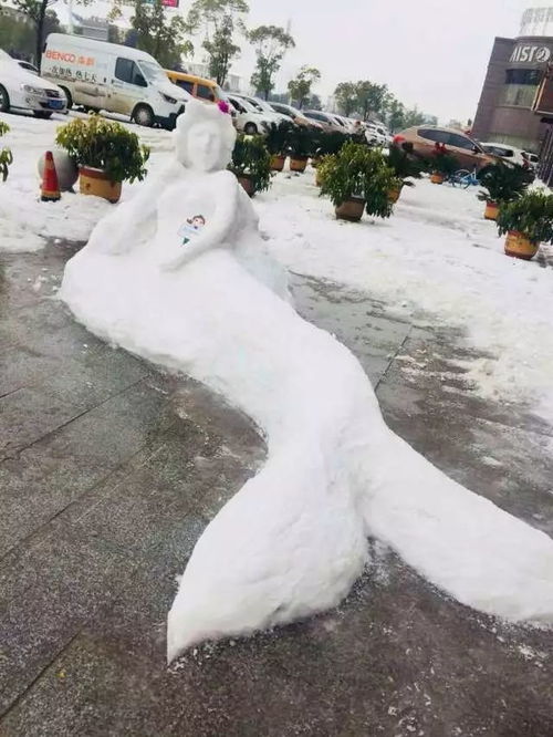  获奖公布保利中央公园醉美雪景摄影大赛完美收官