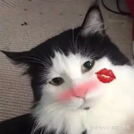  可爱又搞怪的情侣头像,每一张都想保存