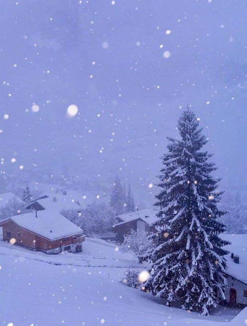  童话般世界之瑞士雪景