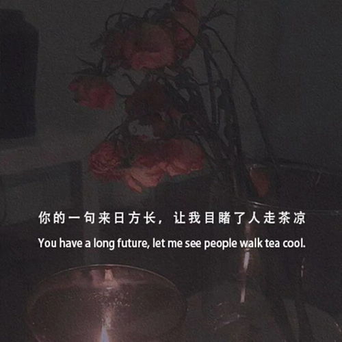  你的过去我来不及参与,你的未来我奉陪到底