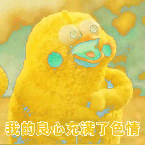  开一万元以内的汽车是种怎样的体验