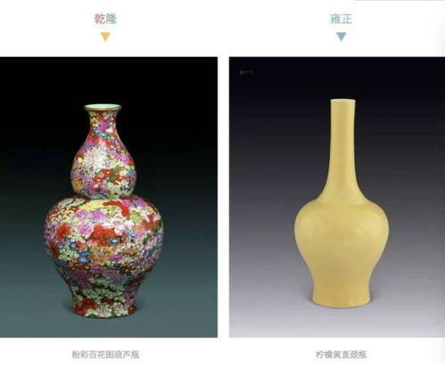 瓷爹头像图片