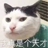 我果然是个天才头像