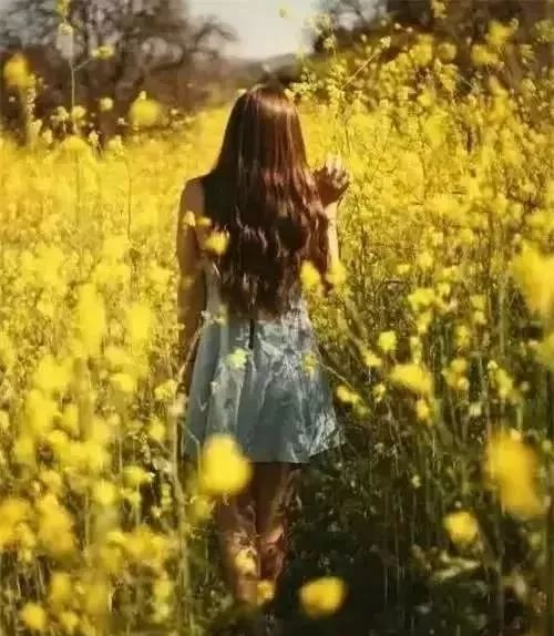  到了乐业花海,如何在花海中拍出美照呢