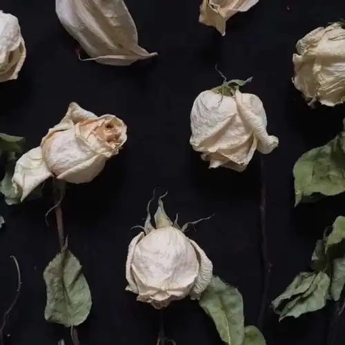  捧花唯美治愈系背景图