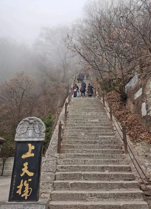  被誉为中华道教第一山,轩辕黄帝曾在这里向广成子问道