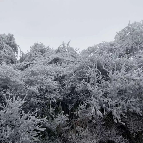  隆回绝美雪景欣赏