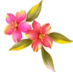  qq炫舞自定义徽章透明百合花