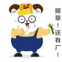  今天你不吹一下大吉利汽车,你的良心不会痛吗