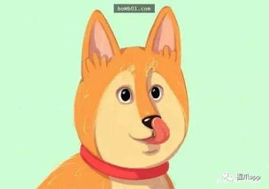  狗狗向你摇尾巴并不是示好的意思哦