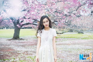  angelababy樱花写真曝光仙气十足少女感爆棚高清组图