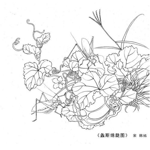  螽斯绵瓞图宋工笔画白描图片素材