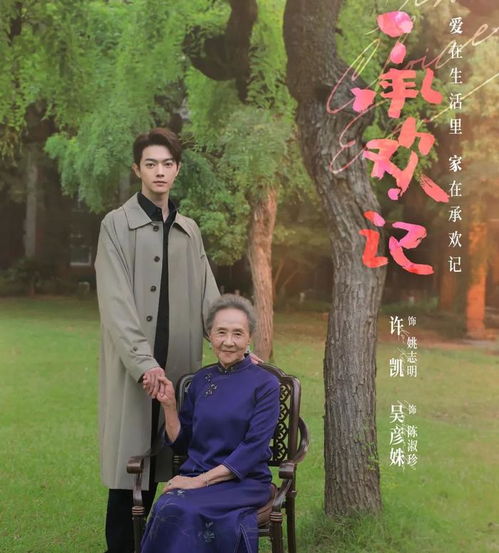  承欢记里看继承法眼看剧