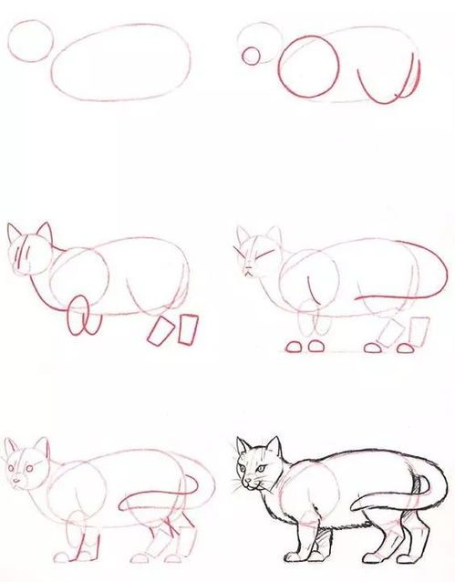  看了这些教程,零基础也能画出特别可爱的猫咪