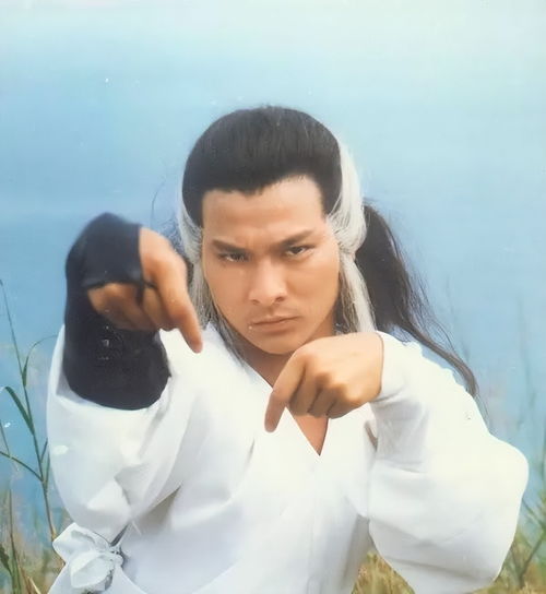  1984年刘德华版神雕侠侣也很经典,可惜中年黄蓉不是翁美玲