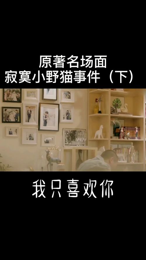  影视剧场原著名场面,寂寞小野猫事件