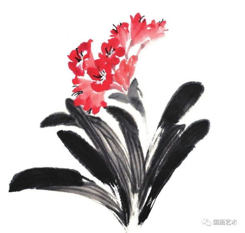  鹤望兰君子兰虞美人的写意画法