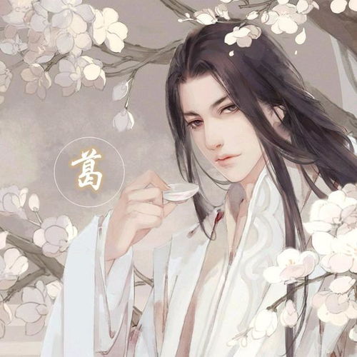 玄门头像图片朱友圭