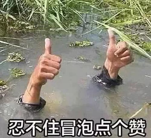  wildfieldhealth哪些低热量又饱腹的食物能帮助减肥