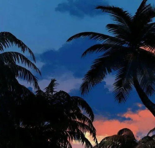  超nice的微信头像背景套图