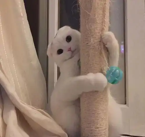  萌系头像你是我第一眼看到就喜欢的东西