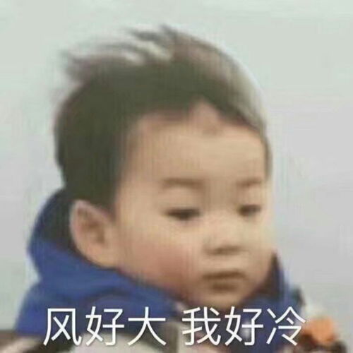  无水印沙雕图集