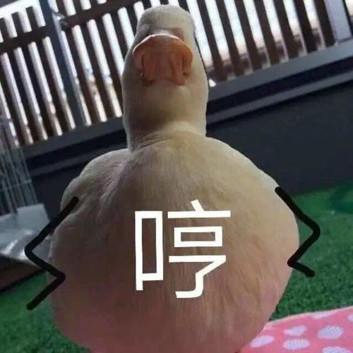  沙雕表情包瞎了听不到
