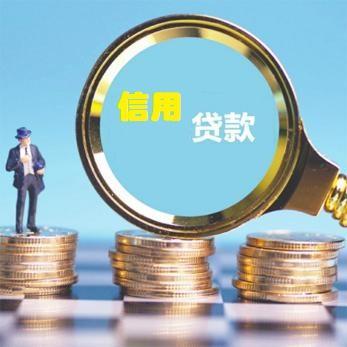  无抵押无担保贷款