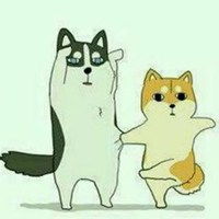 男女抱柴犬情侣头像