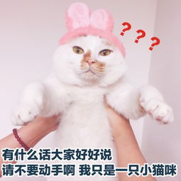  罗熙闺蜜团头像深红火爆全网的罗熙闺蜜团头像