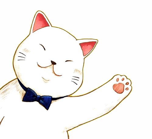  618开启深圳湾猫界选秀,等你来翻牌