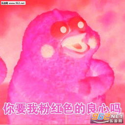  我的良心活蹦乱跳鹦鹉兄弟表情包我的良心大大的黑表情包图片大全下载乐游网游戏下载