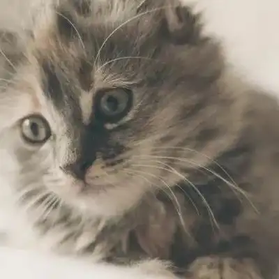 冠珠风格说客厅这样装修,分分钟变成小区的景点 冠珠风格说客厅这样装修,分分钟变成小区的景点