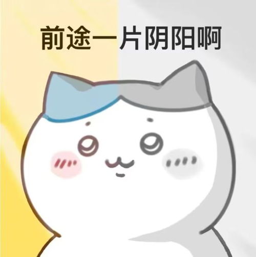  竞技体育什么时候轮得到饭圈文化上桌吃饭了