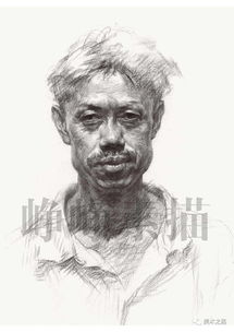  大四开,一比一临摹大咖素描洋光文化峥峥素描ii