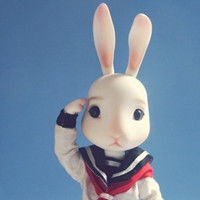  谁知道下面这只qq兔子头像是出自哪里叫什么名字哪里可以下到它的其它系列头像
