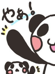  评价