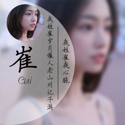  姓氏头像,创意半圆头像设计,提升你朋友圈逼格