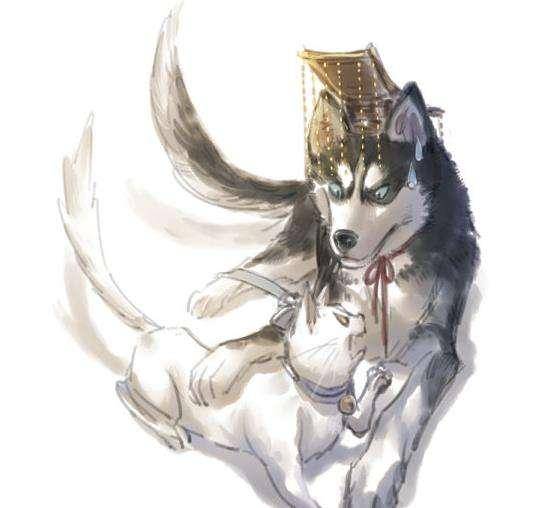 白猫图片头像师尊