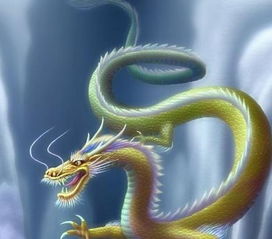 微信提升运气的头像龙人
