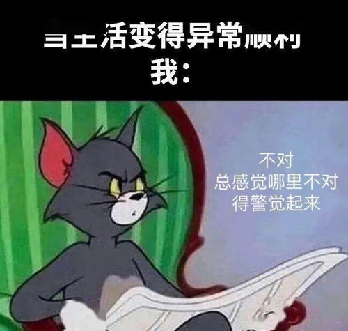  情侣头像搞笑逗比两张,不是人的宠物的真人的都有