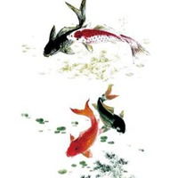  九鱼图招财微信头像微信头像图片大全
