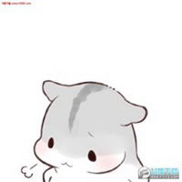  仓鼠表情包无字原图微信头像图片大全