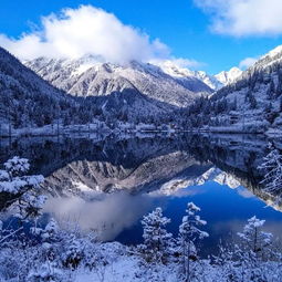  我的家乡下雪了,你那里下了吗